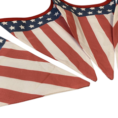 usa light
