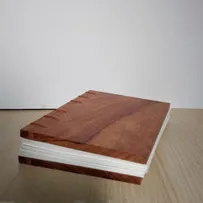 closed book with wooden cover