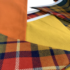 Highland Bunting