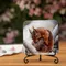 Red Squirrel Coaster