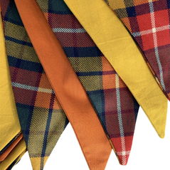 Highland Bunting