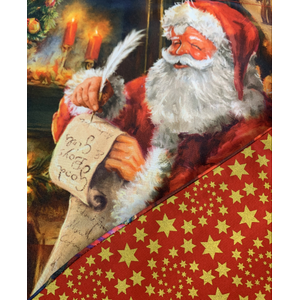 Santa Sack 4 with reverse
