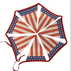 usa light