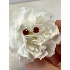 Sterling silver orange (Hessonite) garnet earrings in a flower