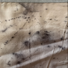 eco print bunting