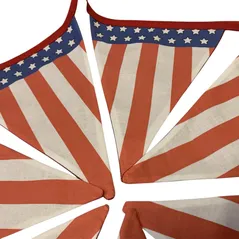 usa bunting red back