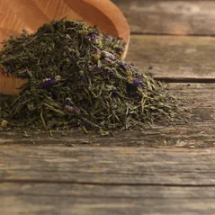 KOMBUCHA GREEN TEA
KOMBUCHA GREEN TEA