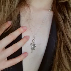 Silver serpent pendant, about 5cm tall and 1 and a half cm wide, on dainty silver chain