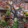 Garden Wallart
