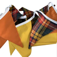 Highland Bunting