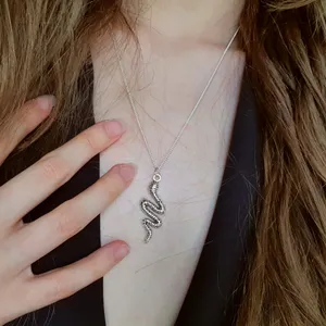 Silver serpent pendant, about 5cm tall and 1 and a half cm wide, on dainty silver chain