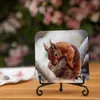 Red Squirrel Coaster